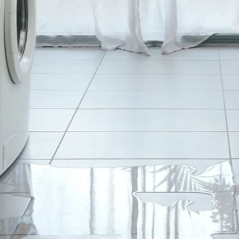Appliance Leak Cleanup in North Hudson, WI
