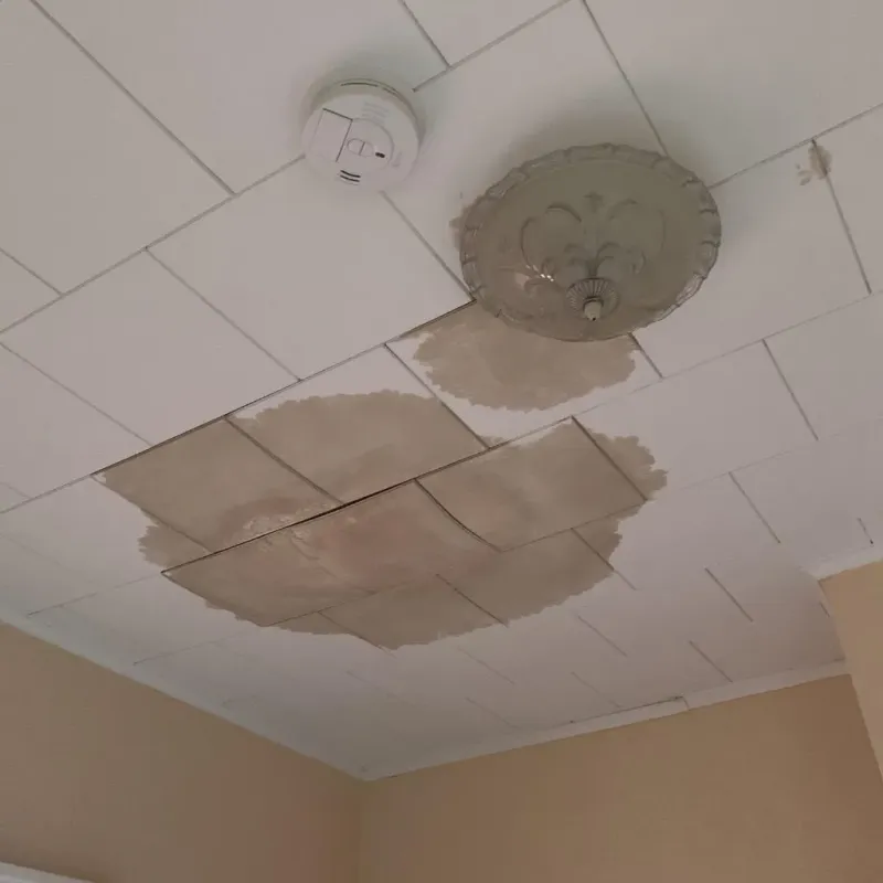 Ceiling Water Damage Repair in North Hudson, WI