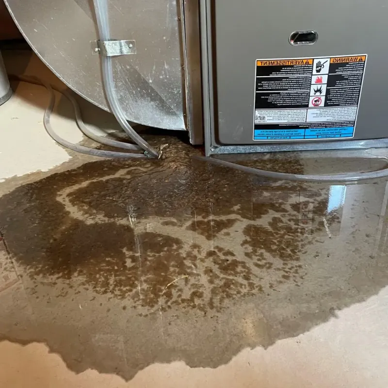 Pipe Burst and Leak Restoration in North Hudson, WI